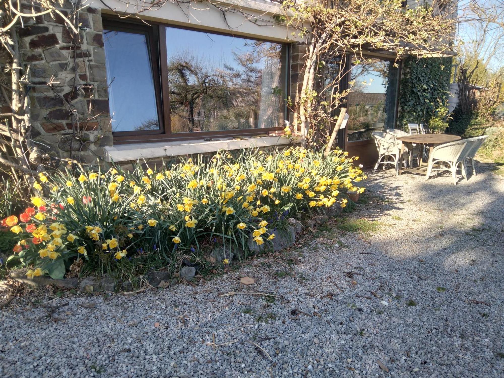 Dinant La Bergeronnette Avec La Chaleur Du Feu De Bois Et Le Jardin Βίλα Δωμάτιο φωτογραφία